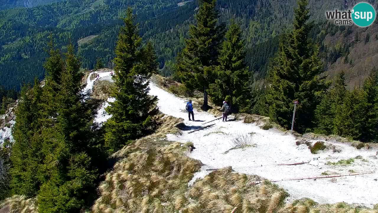 Spletna kamera Koča na Golici (1582 m) – Jesenice