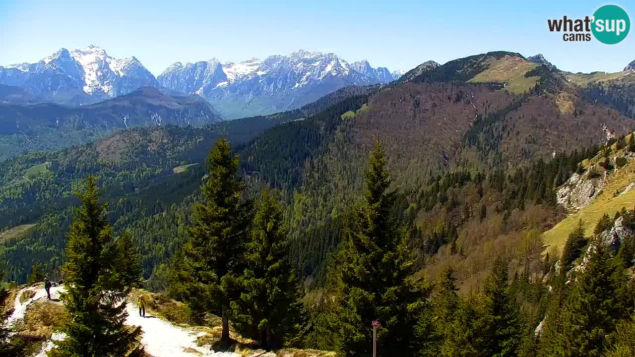 Koča na Golici Webcam (1582 m) – Slowenien
