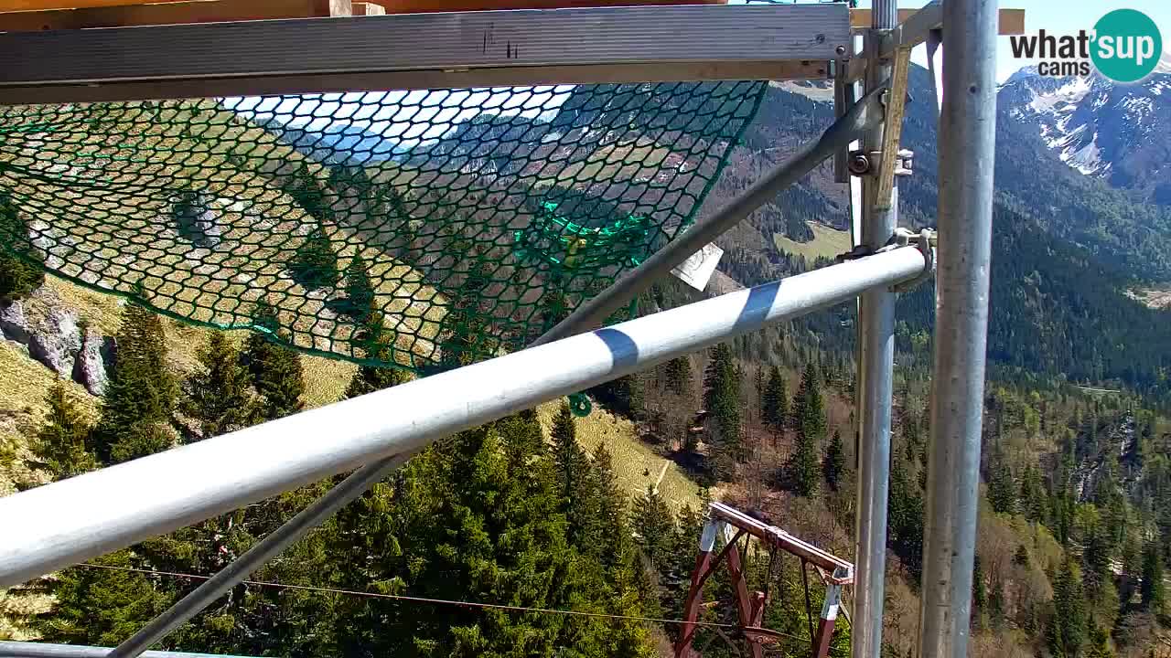 Web kamera Koča na Golici (1582 m) – Slovenija