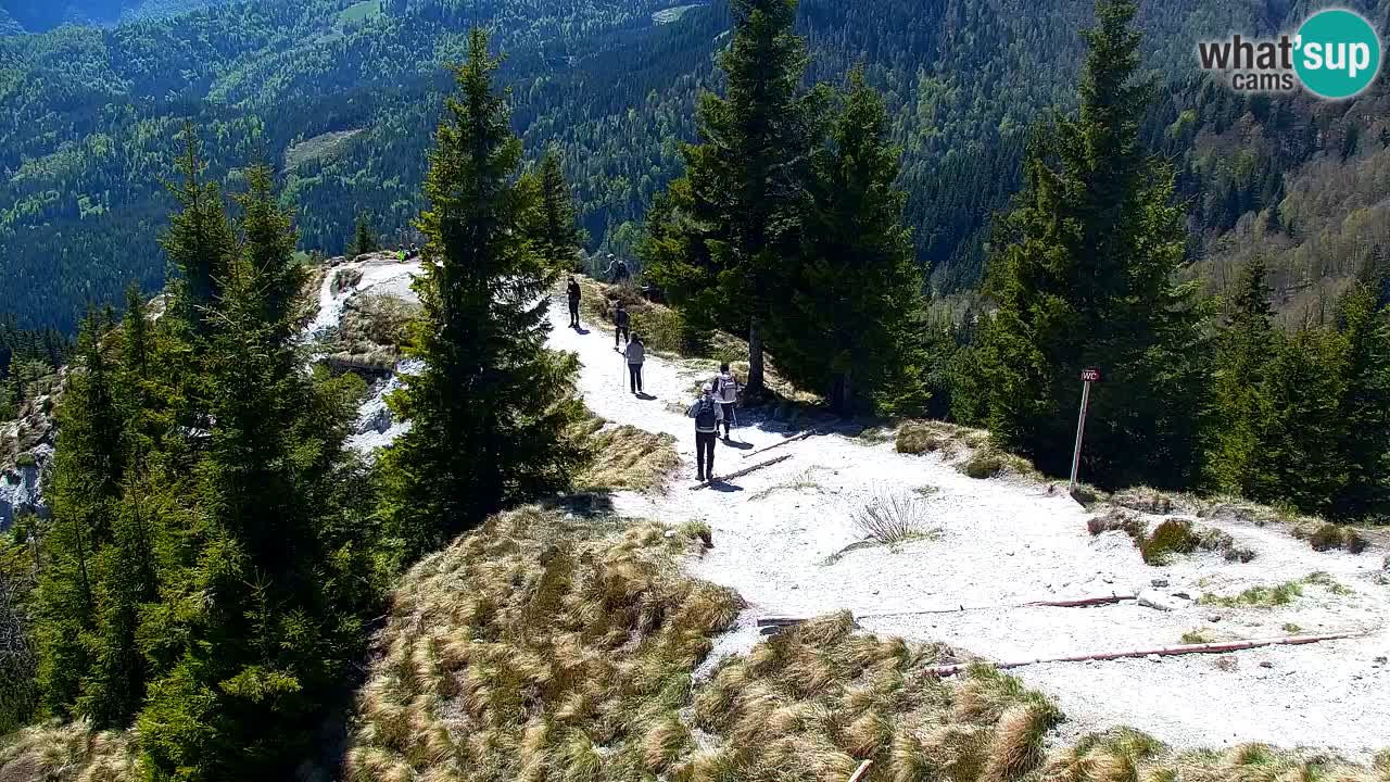 Koča na Golici Webcam (1582 m) – Slowenien
