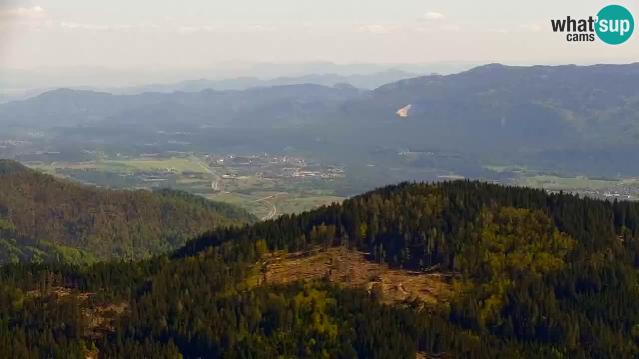 Web kamera Koča na Golici (1582 m) – Slovenija