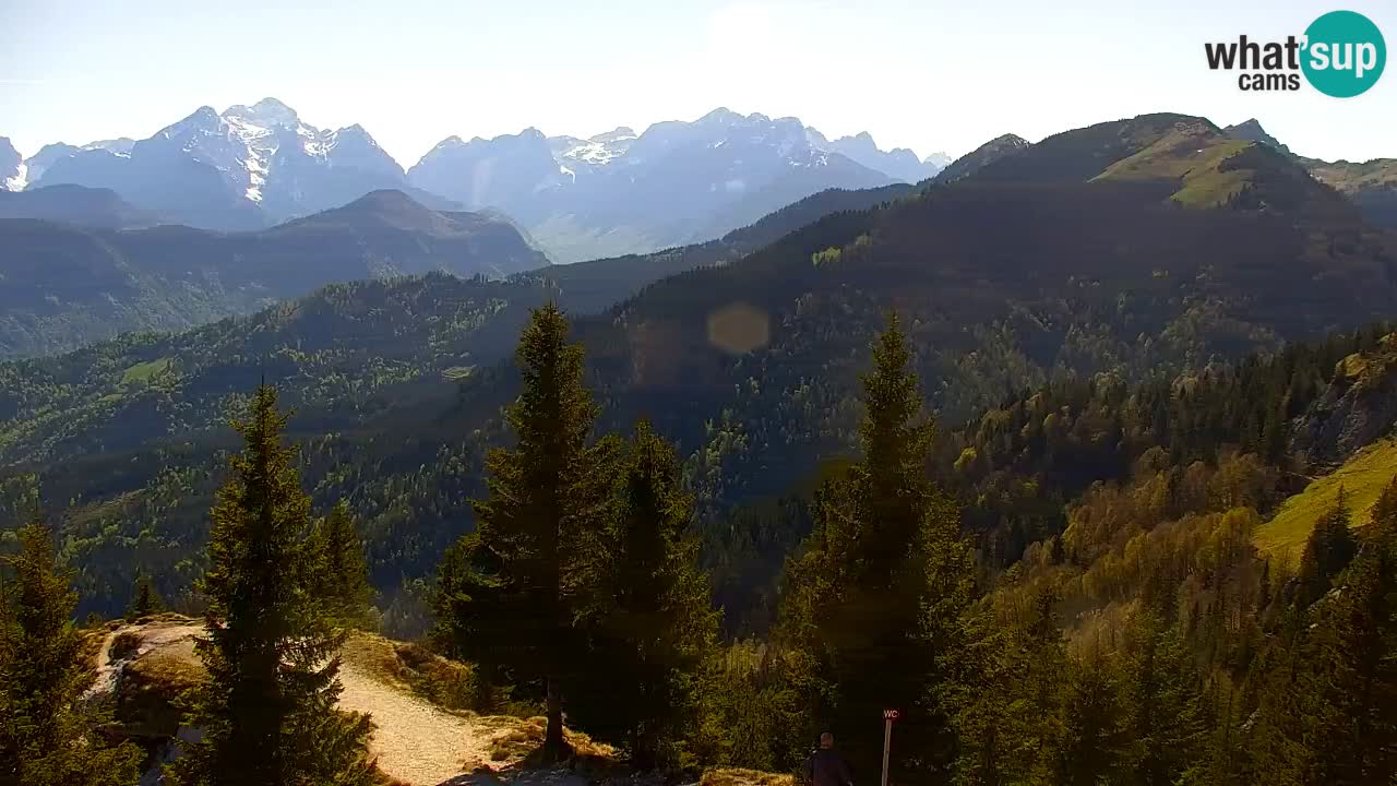 Web kamera Koča na Golici (1582 m) – Slovenija