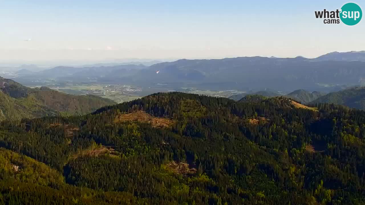 Webcam en Golica (1582 m) – Eslovenia