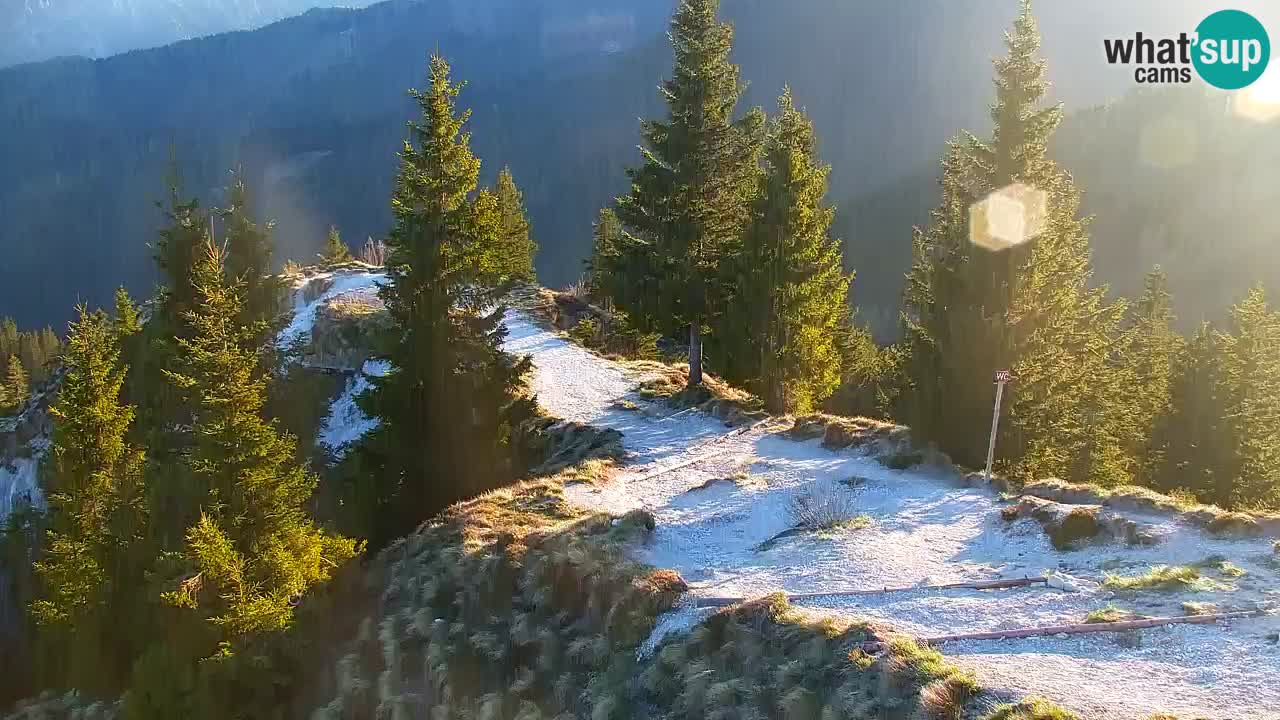 Koča na Golici Webcam (1582 m) – Slowenien