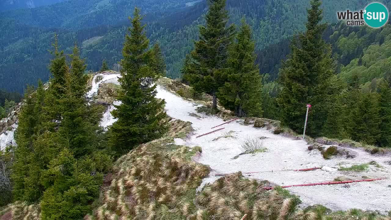 Webcam Koča na Golici (1582 m) – Slovenia