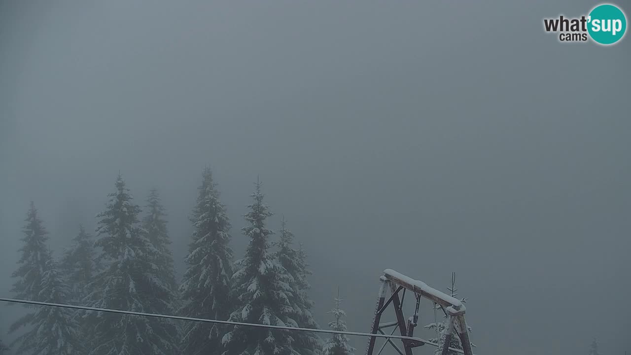 Webcam Koča na Golici (1582 m) – Slovenia