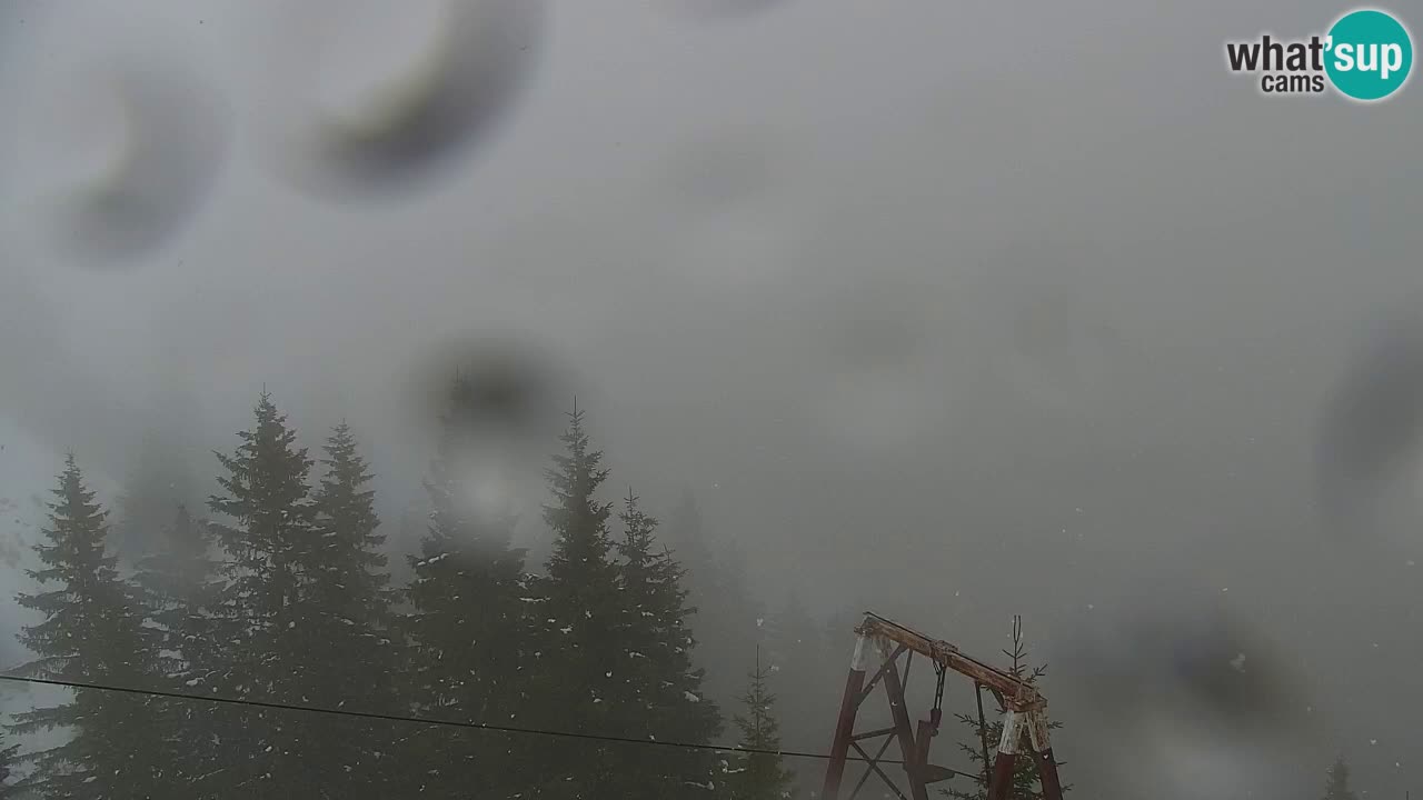 Web kamera Koča na Golici (1582 m) – Slovenija