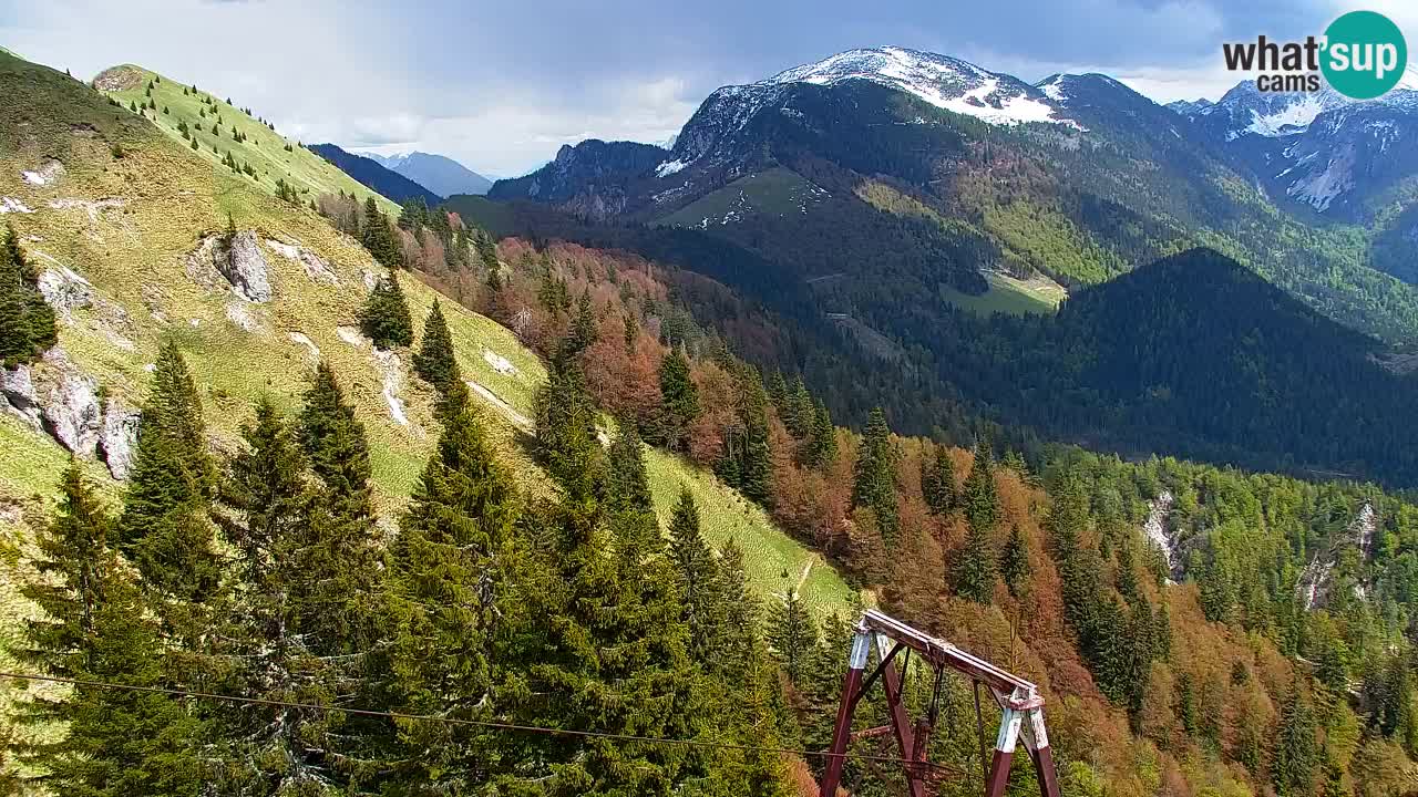 Webcam Koča na Golici (1582 m) – Slovenia