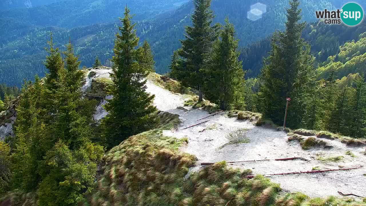 Webcam Chalet sur Golica (1582 m) – Slovénie
