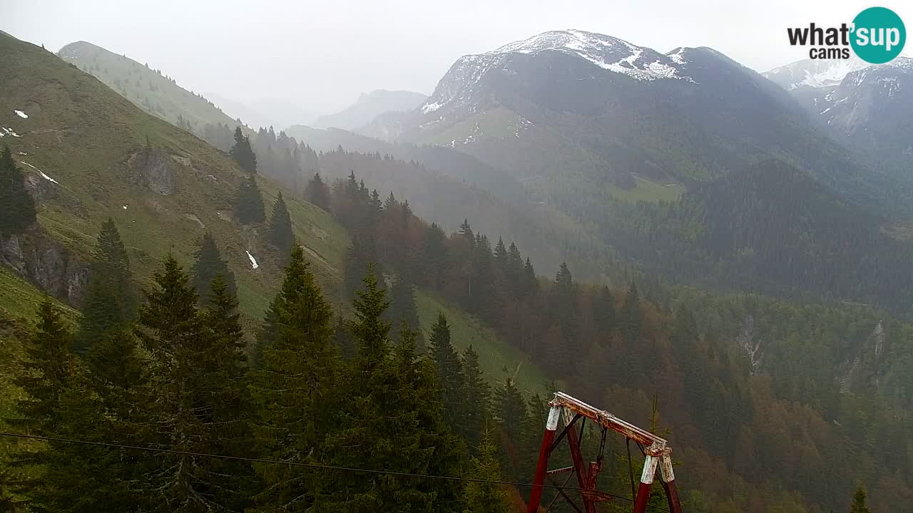 Koča na Golici Webcam (1582 m) – Slowenien