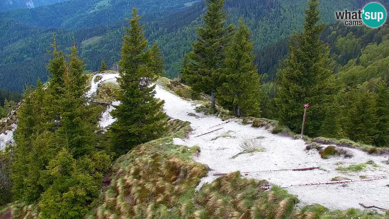 Web kamera Koča na Golici (1582 m) – Slovenija