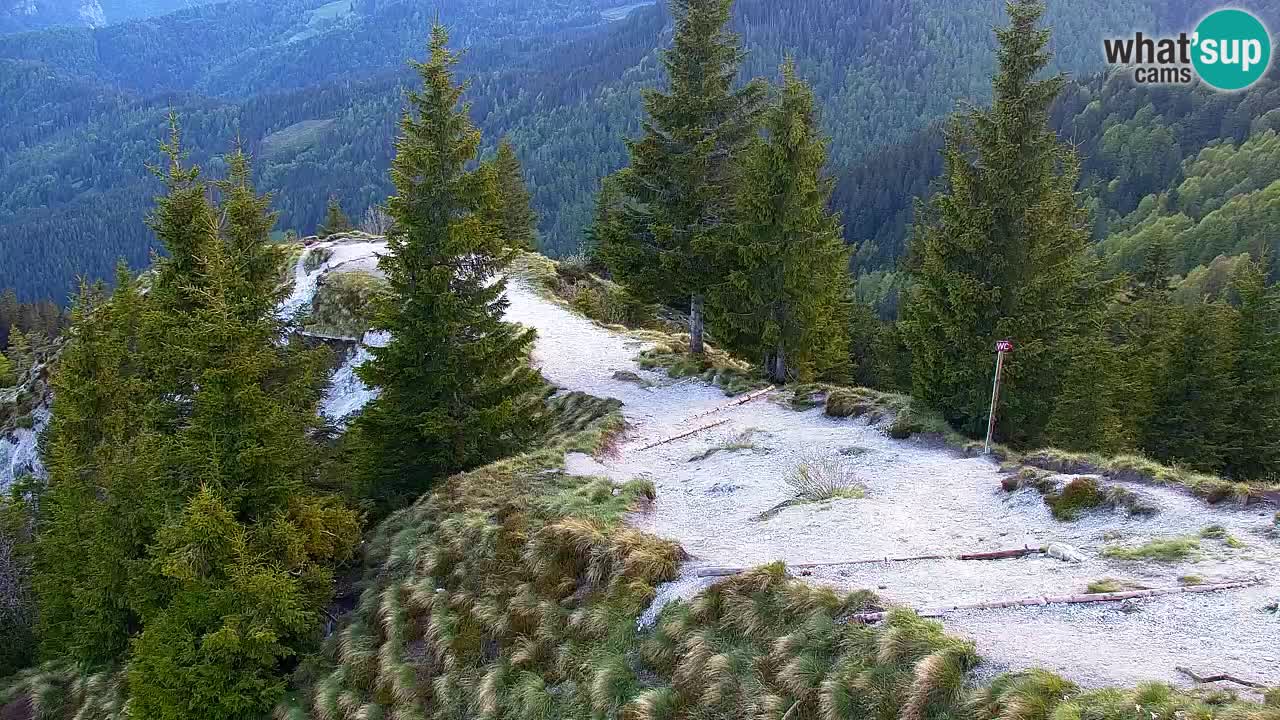 Koča na Golici Webcam (1582 m) – Slowenien