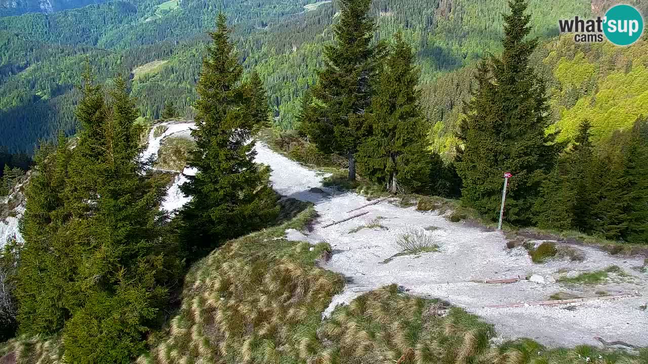 Webcam Koča na Golici (1582 m) – Slovenia