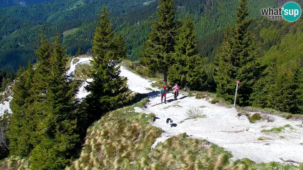 Webcam Chalet sur Golica (1582 m) – Slovénie