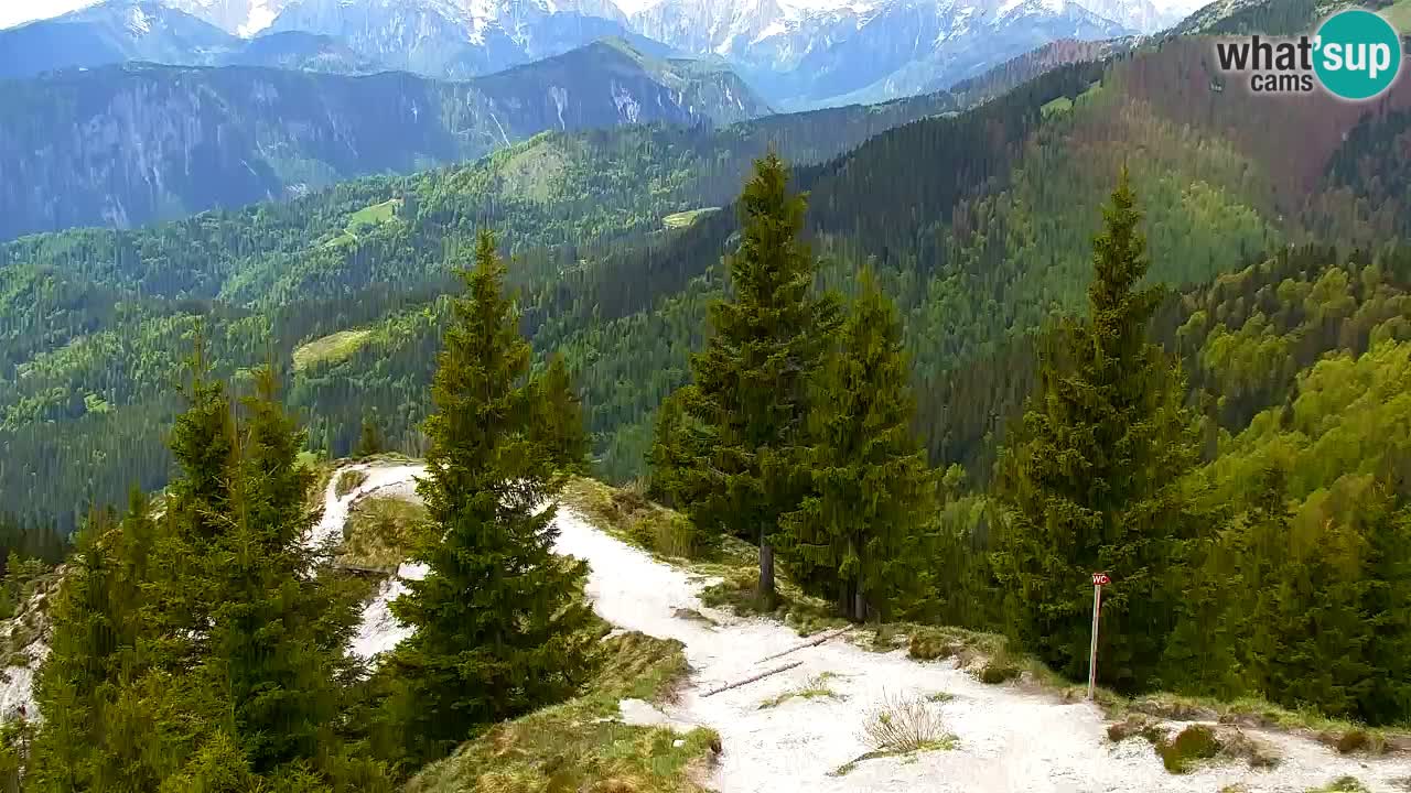 Koča na Golici Webcam (1582 m) – Slowenien