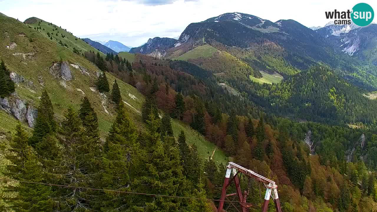 Web kamera Koča na Golici (1582 m) – Slovenija