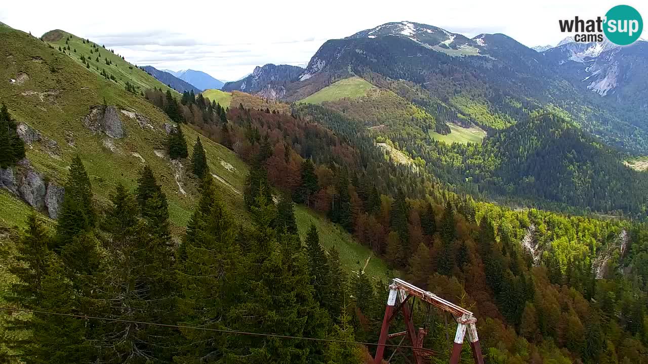 Web kamera Koča na Golici (1582 m) – Slovenija