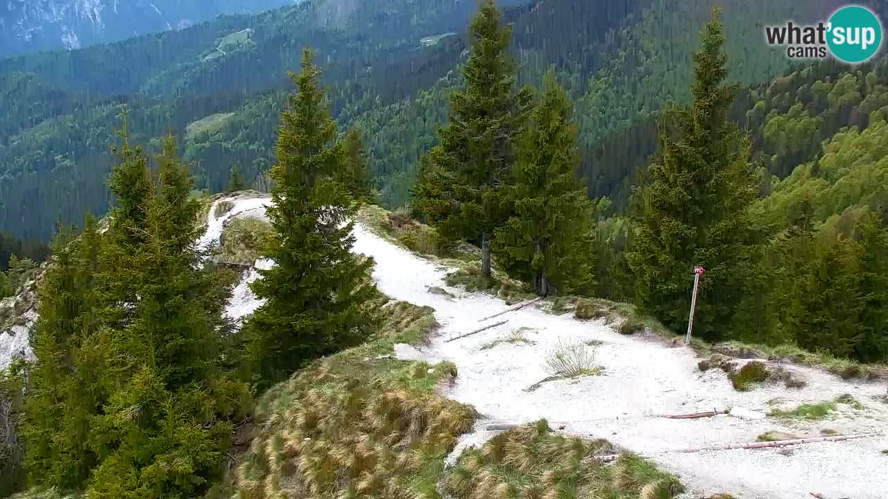 Webcam Koča na Golici (1582 m) – Slovenia