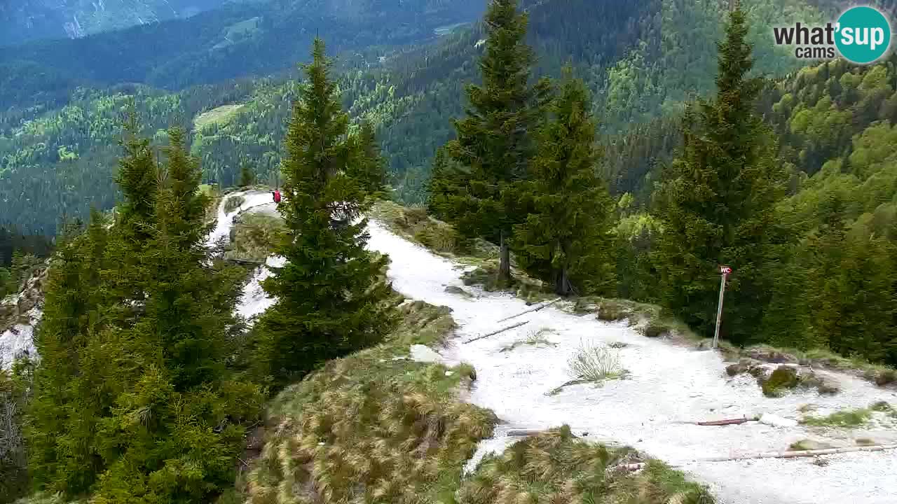 Webcam en Golica (1582 m) – Eslovenia