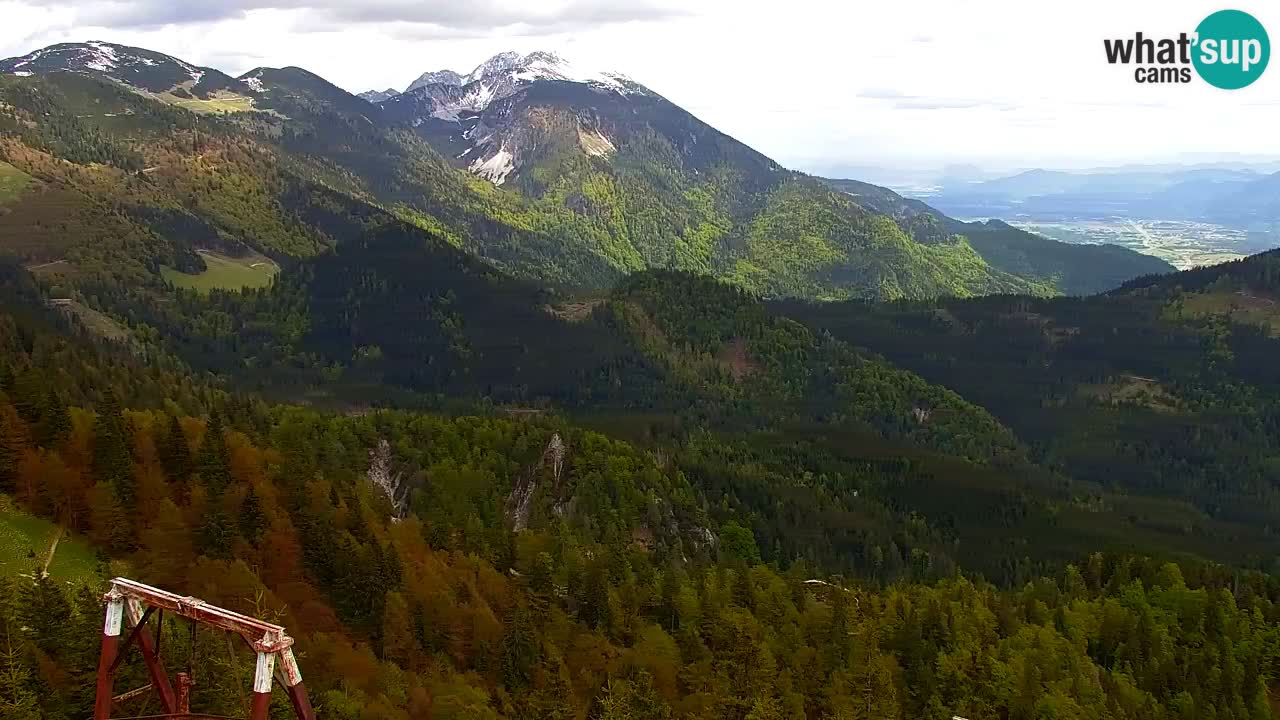 Webcam Koča na Golici (1582 m) – Slovenia