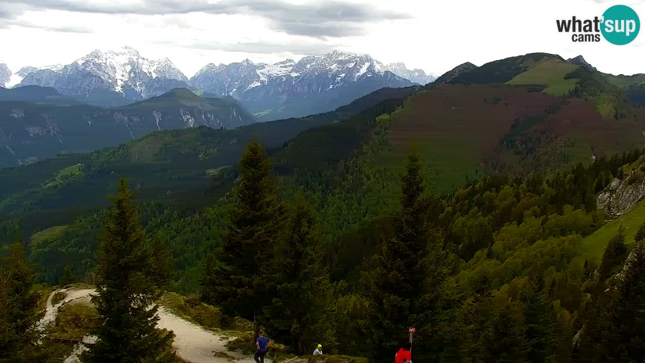 Webcam Koča na Golici (1582 m) – Slovenia