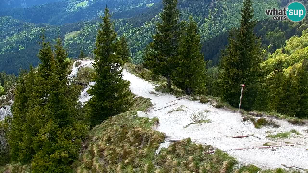 Koča na Golici Webcam (1582 m) – Slowenien