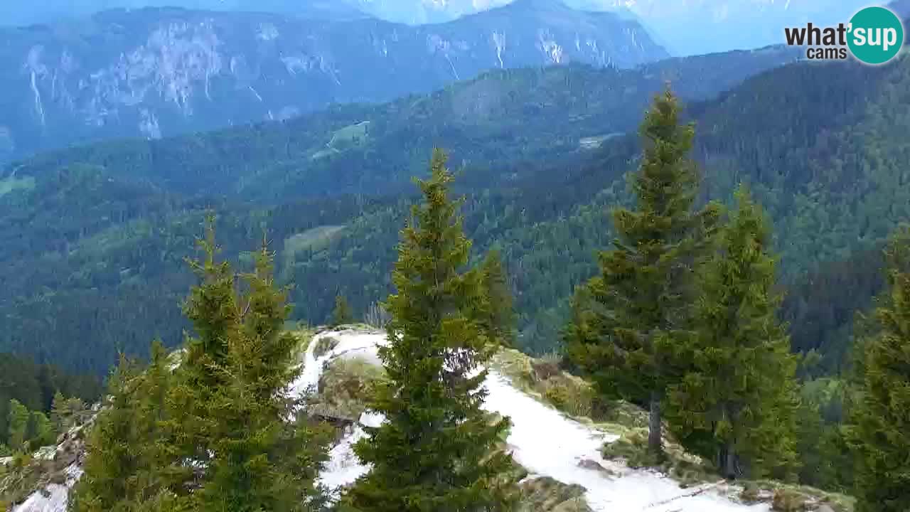 Web kamera Koča na Golici (1582 m) – Slovenija