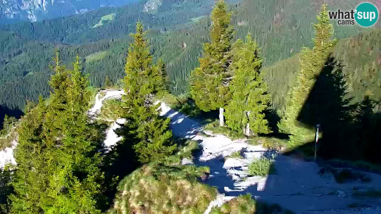 Webcam na Golici – Baita di montagna (1582 m) – Slovenia