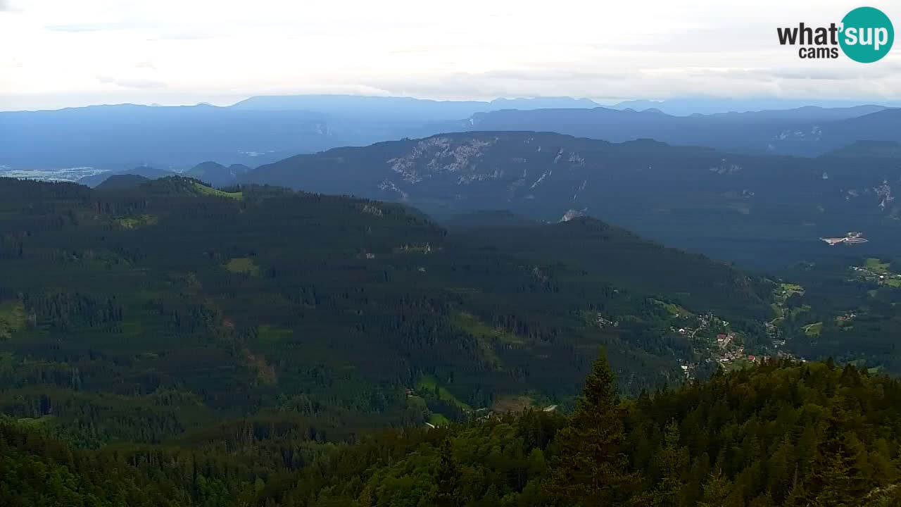 Web kamera Koča na Golici (1582 m) – Slovenija