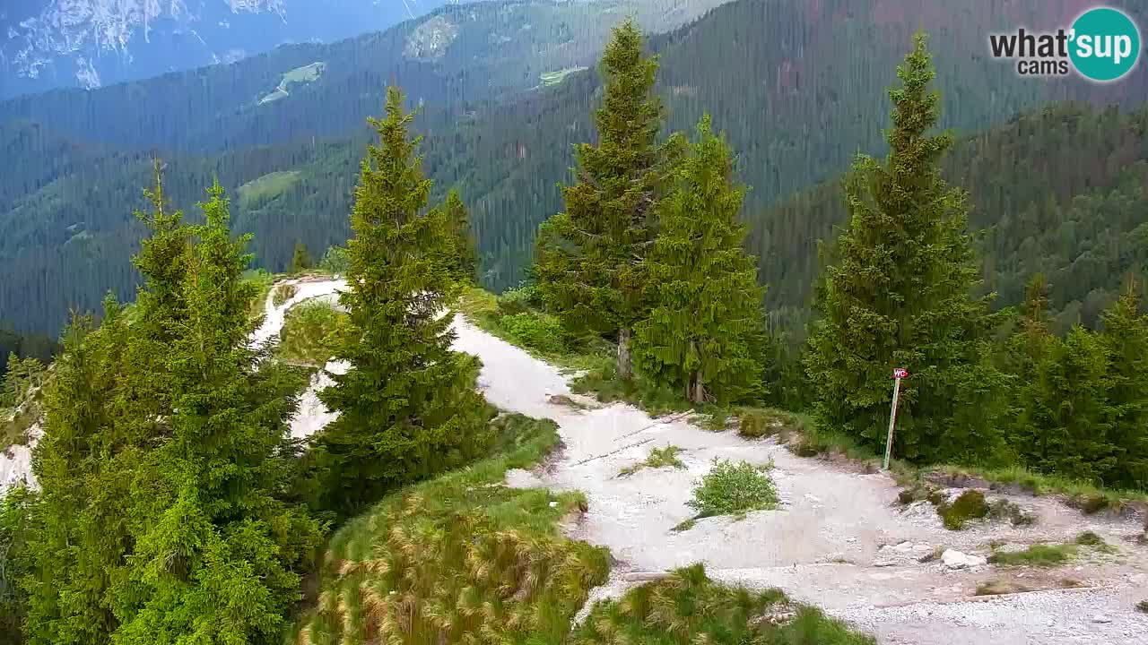 Webcam na Golici – Baita di montagna (1582 m) – Slovenia