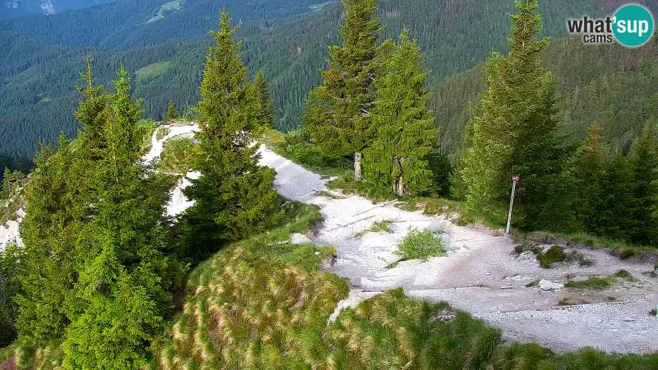 Spletna kamera Koča na Golici (1582 m) – Jesenice
