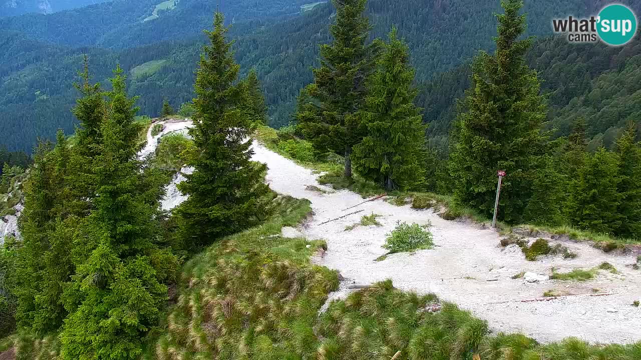 Webcam Chalet sur Golica (1582 m) – Slovénie