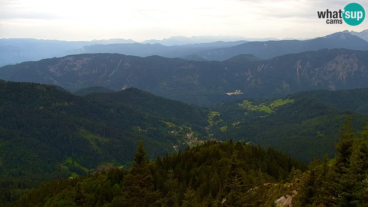 Koča na Golici Webcam (1582 m) – Slowenien