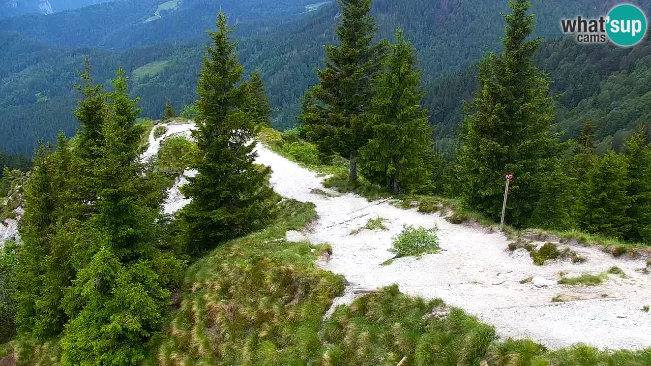 Koča na Golici Webcam (1582 m) – Slowenien