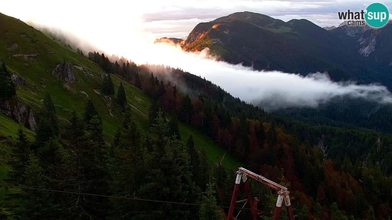 Koča na Golici Webcam (1582 m) – Slowenien
