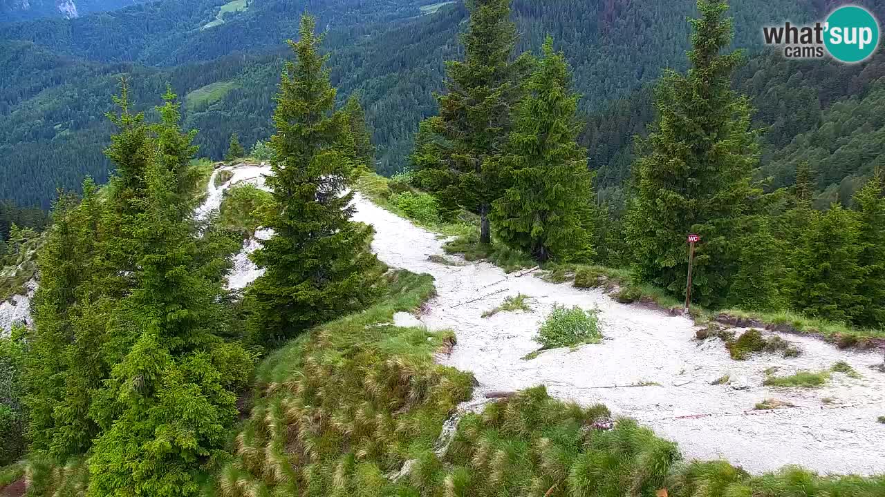 Webcam Koča na Golici (1582 m) – Slovenia