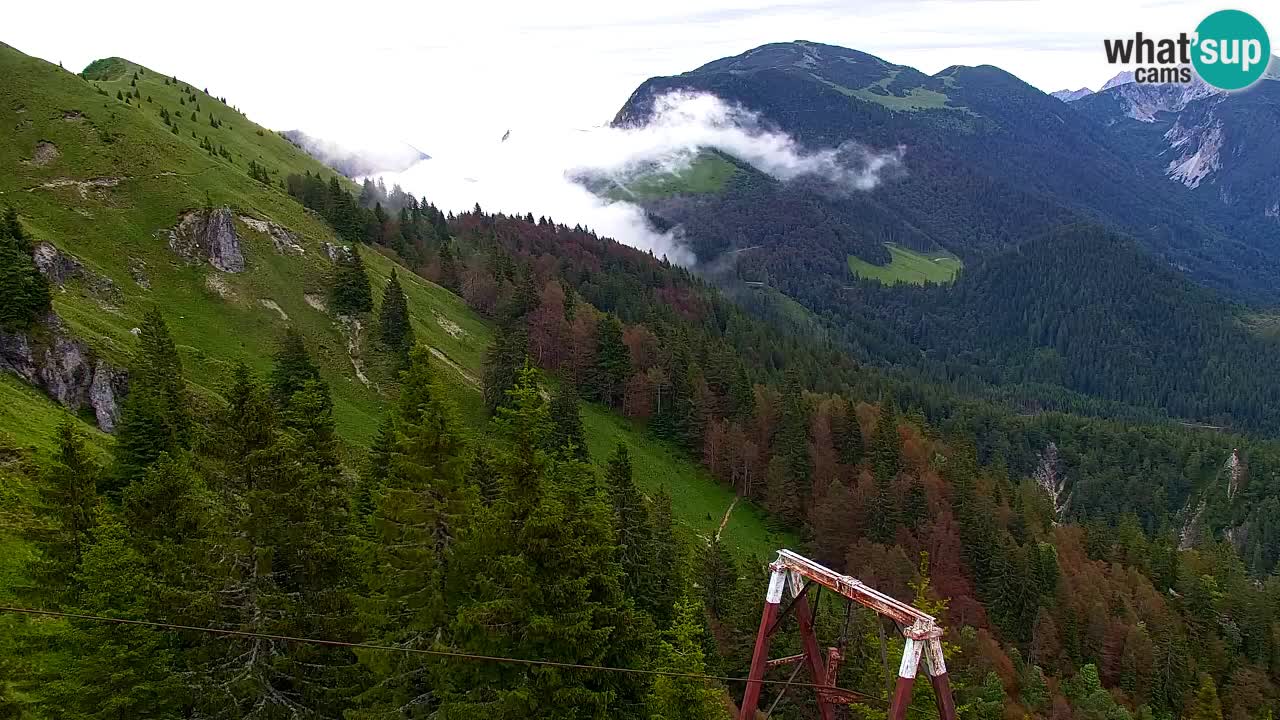 Koča na Golici Webcam (1582 m) – Slowenien