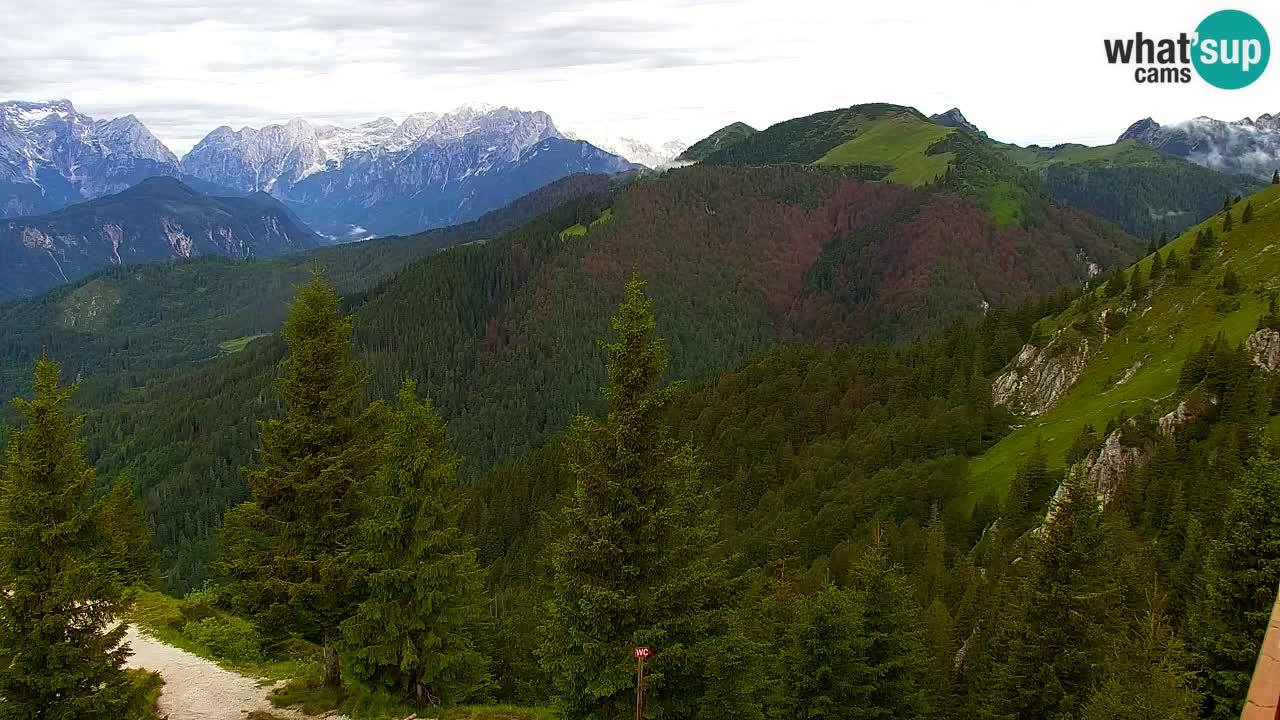 Webcam en Golica (1582 m) – Eslovenia