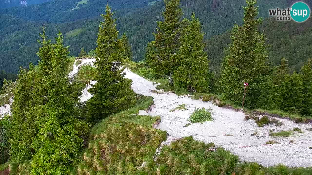 Web kamera Koča na Golici (1582 m) – Slovenija