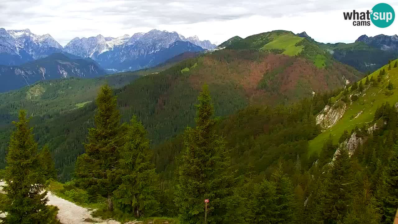 Webcam Koča na Golici (1582 m) – Slovenia