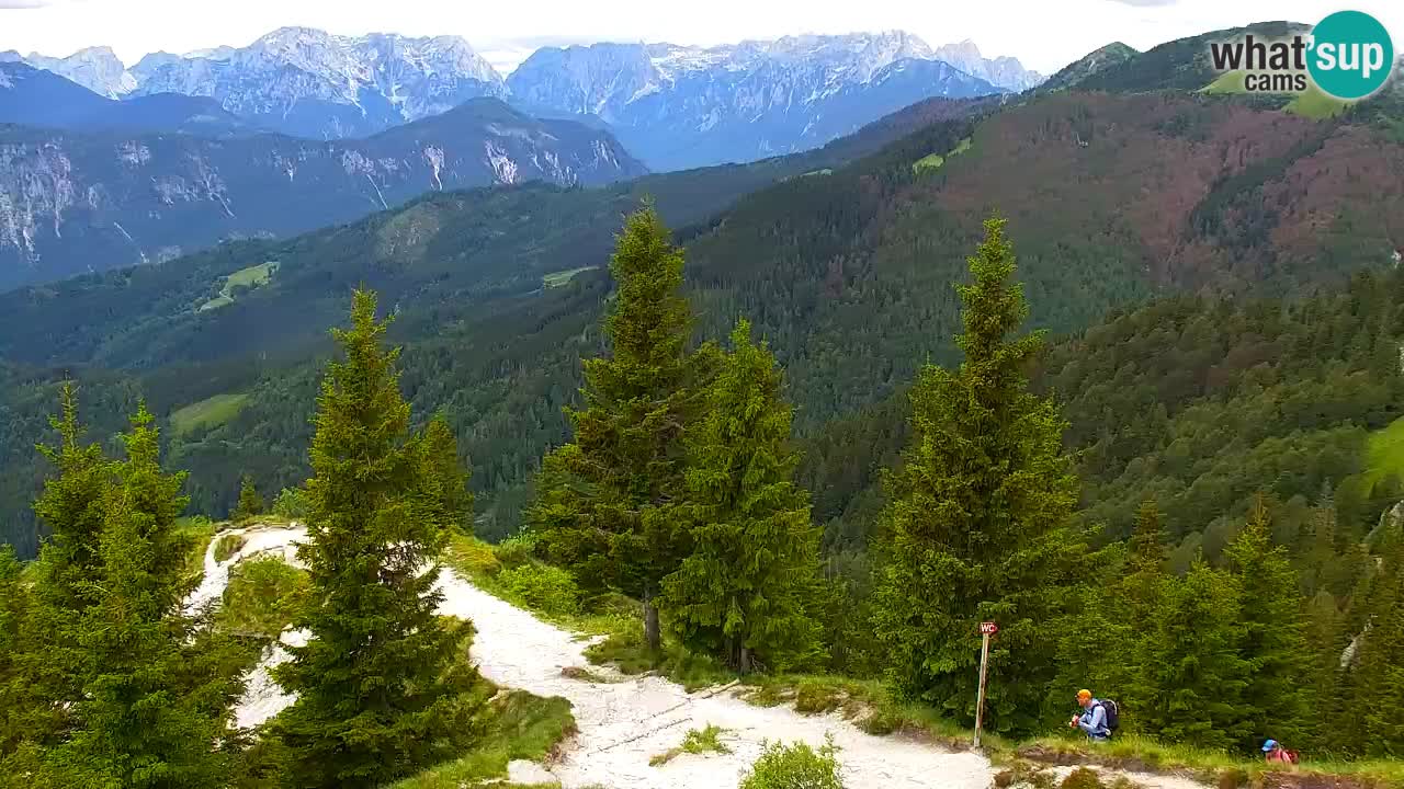 Koča na Golici Webcam (1582 m) – Slowenien
