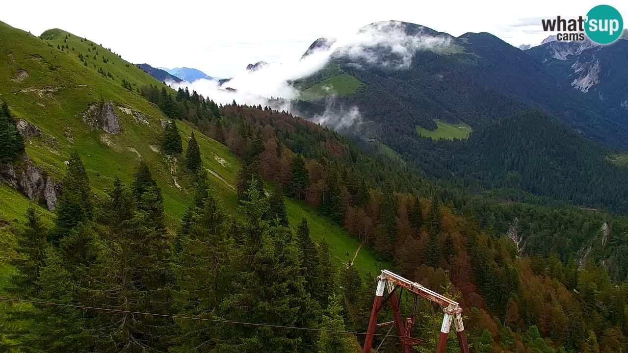 Webcam Koča na Golici (1582 m) – Slovenia