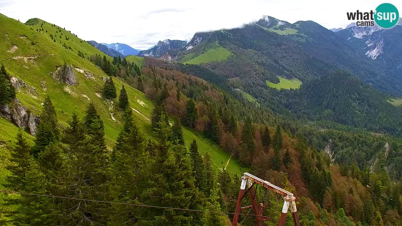 Koča na Golici Webcam (1582 m) – Slowenien
