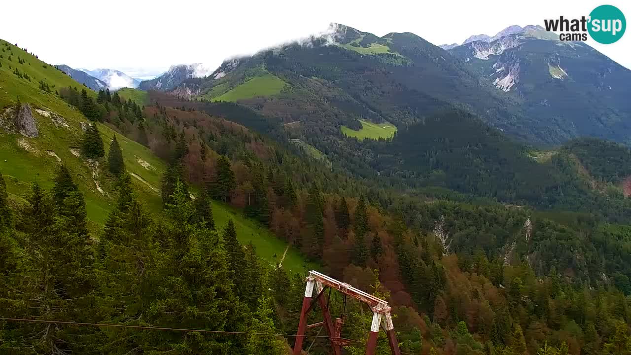 Koča na Golici Webcam (1582 m) – Slowenien