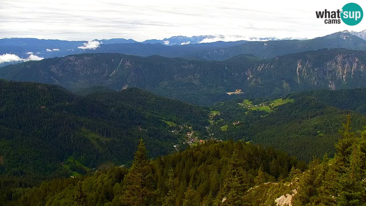 Webcam Koča na Golici (1582 m) – Slovenia
