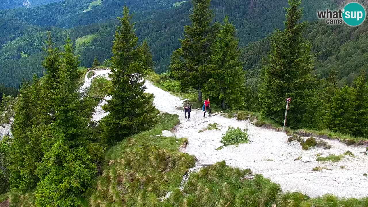 Webcam na Golici – Baita di montagna (1582 m) – Slovenia