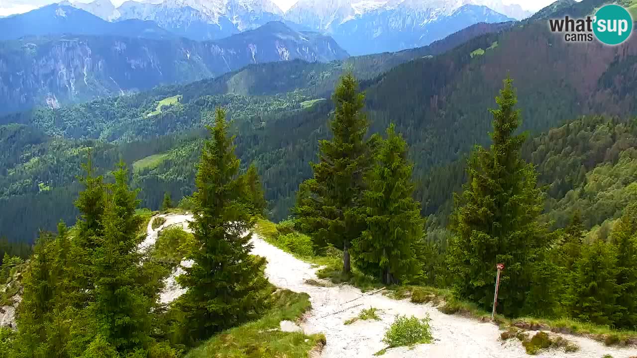Spletna kamera Koča na Golici (1582 m) – Jesenice