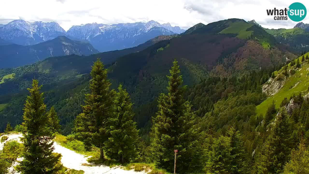 Web kamera Koča na Golici (1582 m) – Slovenija