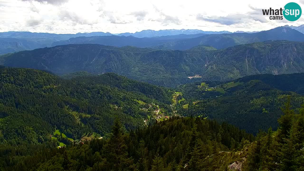 Webcam Koča na Golici (1582 m) – Slovenia