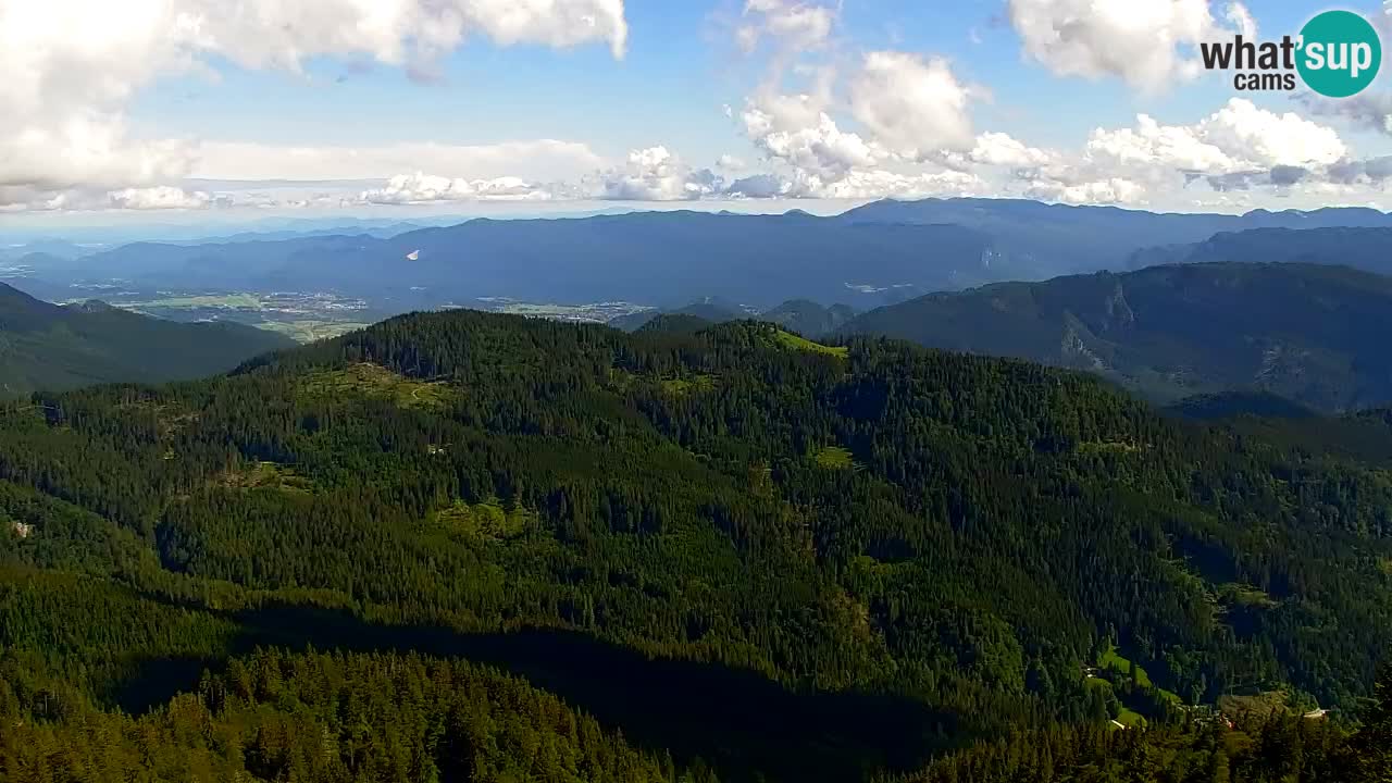 Koča na Golici Webcam (1582 m) – Slowenien